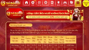 Ưu đãi hoàn cược mỗi ngày không giới hạn tại Sodo66 cho hội viên